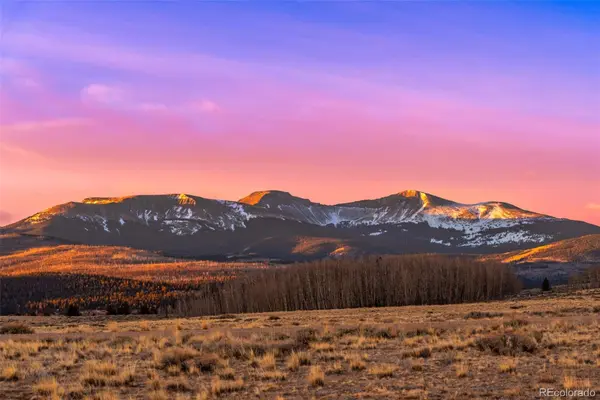 1994 Black Mountain RD, Fairplay, CO 80440