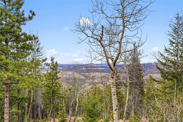206 Wonder TRL, Golden, CO 80403