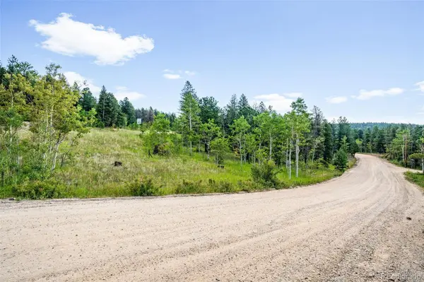 103 Juniper RD, Black Hawk, CO 80422