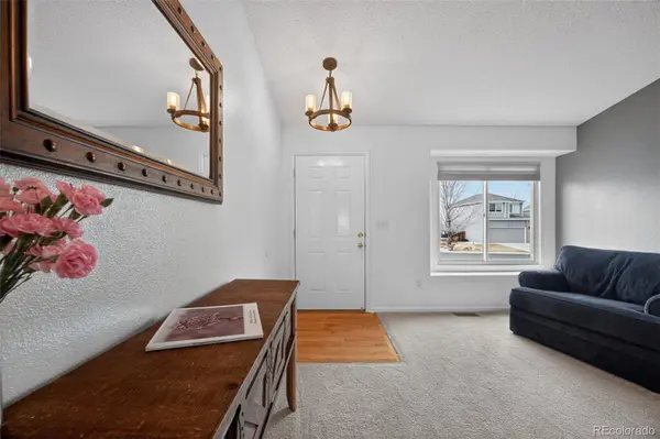 11306 Rodeo CIR, Parker, CO 80138