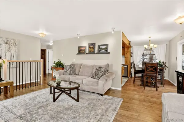 25807 Snyder AVE, Conifer, CO 80433