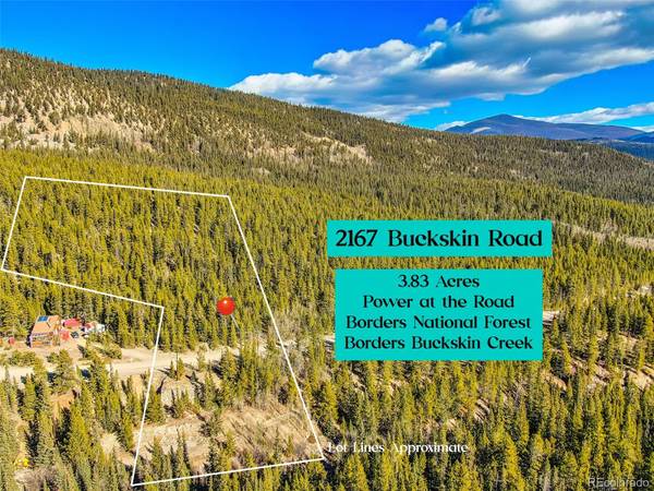 2167 Buckskin RD, Alma, CO 80420
