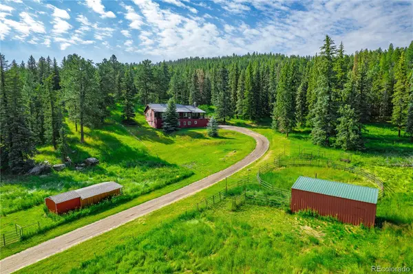 25524 N Turkey Creek RD, Evergreen, CO 80439
