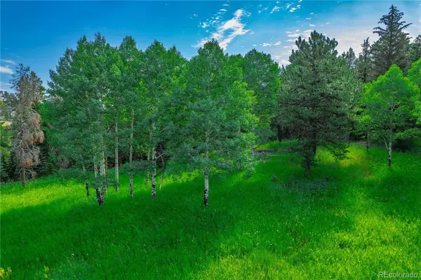 25524 N Turkey Creek RD, Evergreen, CO 80439