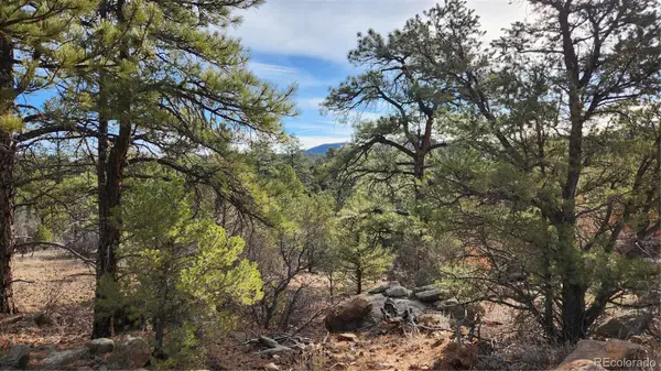 TBD L 7th TRL, Cotopaxi, CO 81223