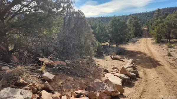 TBD L 7th TRL, Cotopaxi, CO 81223