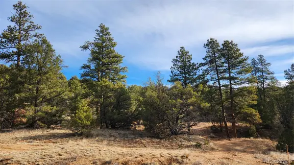 TBD L 7th TRL, Cotopaxi, CO 81223
