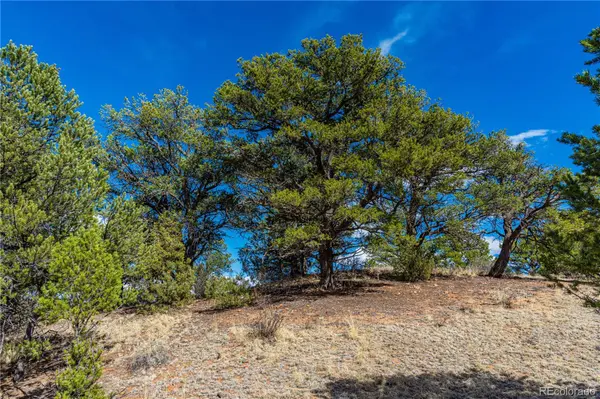 TR-56 MacDonnell, Cotopaxi, CO 81223