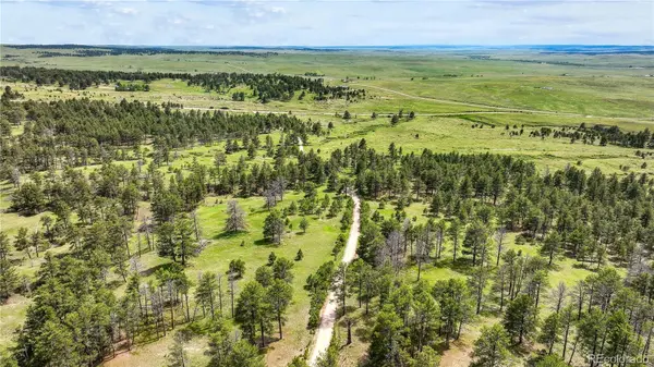 22813 County Road 150, Agate, CO 80101