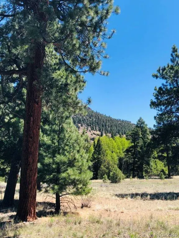 133 W Canyon View DR, Antonito, CO 81120