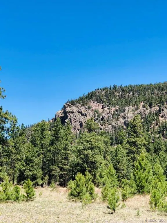 133 W Canyon View DR, Antonito, CO 81120