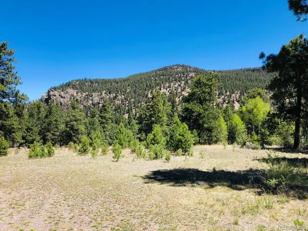133 W Canyon View DR, Antonito, CO 81120