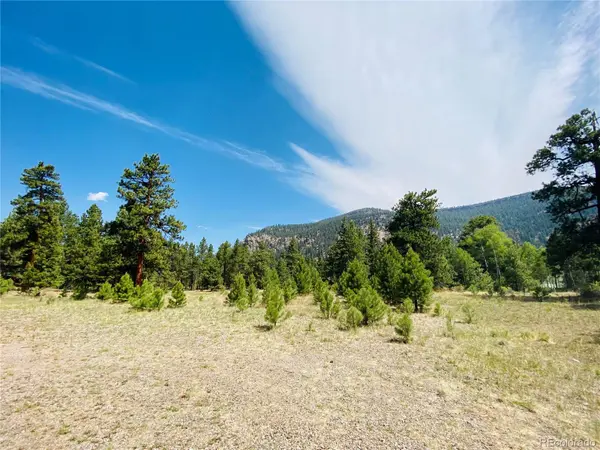 133 W Canyon View DR, Antonito, CO 81120