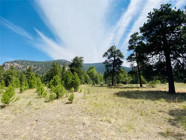133 W Canyon View DR, Antonito, CO 81120