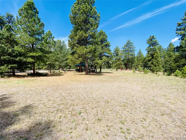 133 W Canyon View DR, Antonito, CO 81120