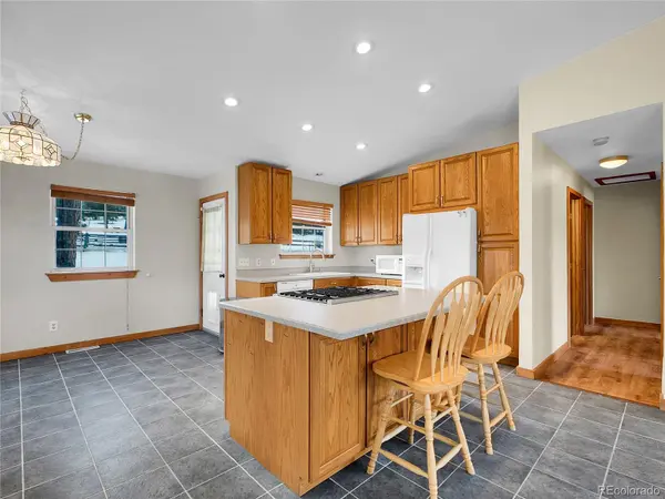 99 Mohawk TRL, Pine, CO 80470