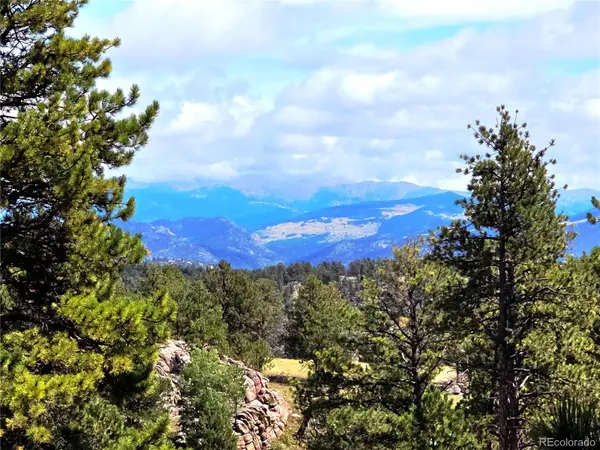277 Cherokee DR, Florissant, CO 80816
