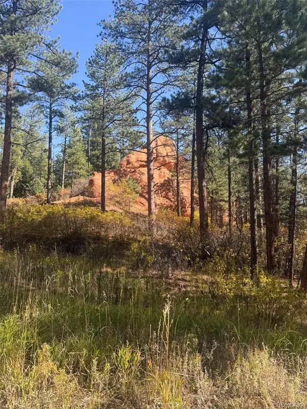 8181 Bannock DR, Larkspur, CO 80118