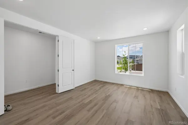6413 Ankina DR, Windsor, CO 80528