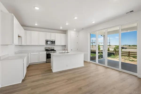 6413 Ankina DR, Windsor, CO 80528