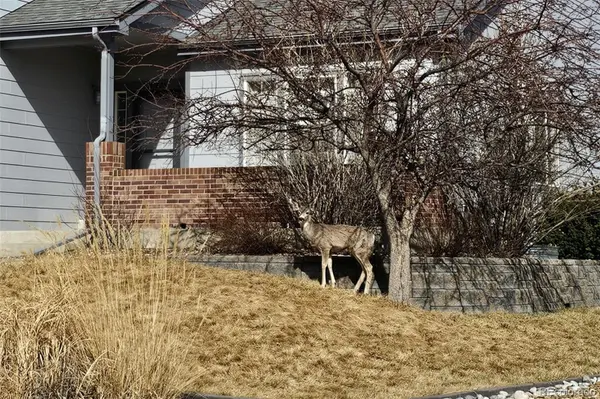 21805 Mount Elbert PL, Parker, CO 80138