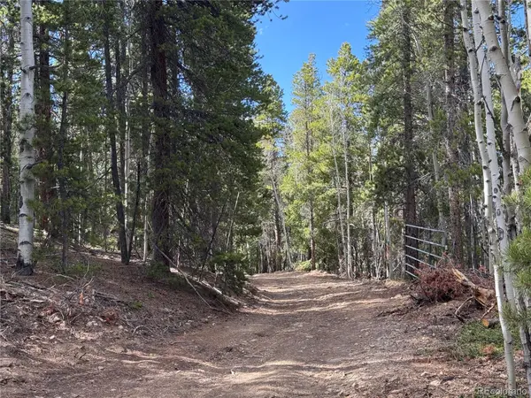 002 Pewabic Mine RD, Central City, CO 80427