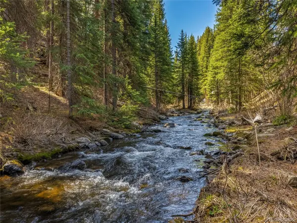68 Sherwood LN, Blue River, CO 80424