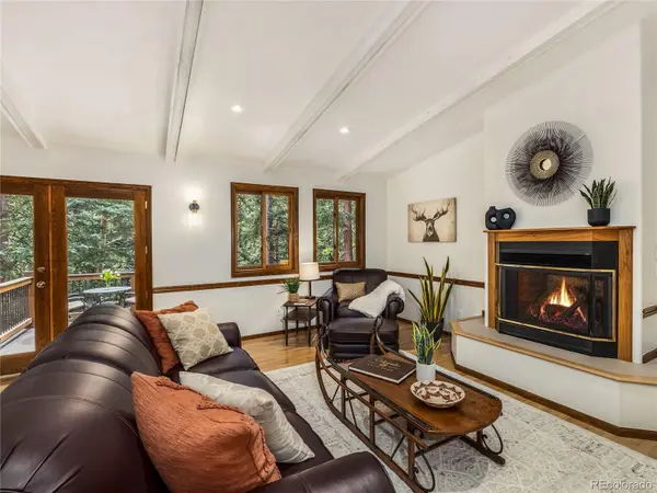 68 Sherwood LN, Blue River, CO 80424