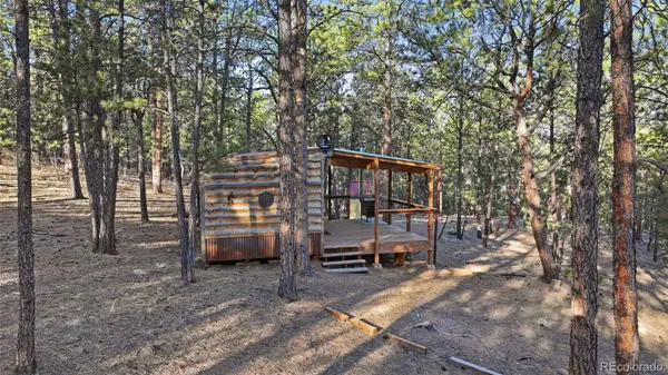 163 Ouray RD, Florissant, CO 80816