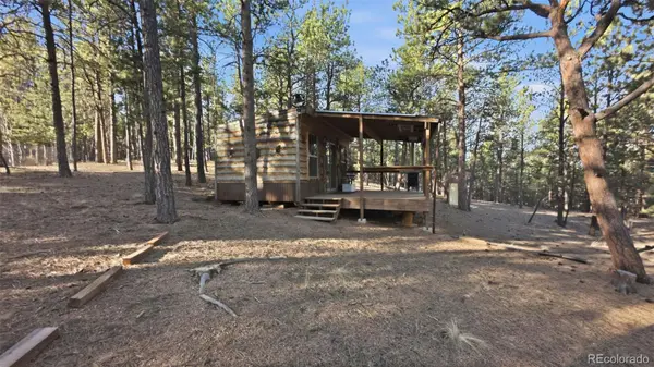 163 Ouray RD, Florissant, CO 80816