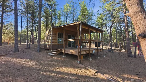 163 Ouray RD, Florissant, CO 80816