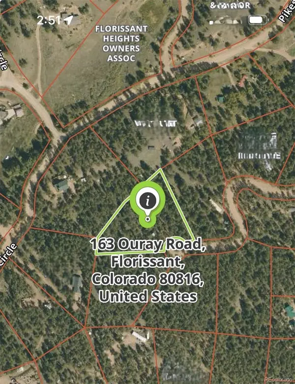 163 Ouray RD, Florissant, CO 80816