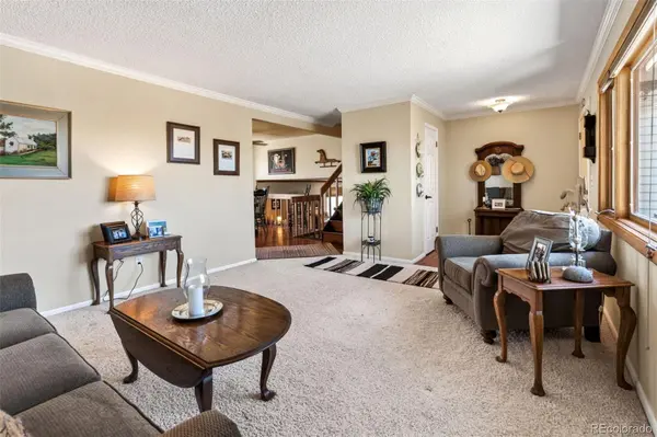 12360 Mesa View RD, Larkspur, CO 80118