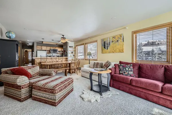 22864 US Highway 6 #301, Keystone, CO 80435