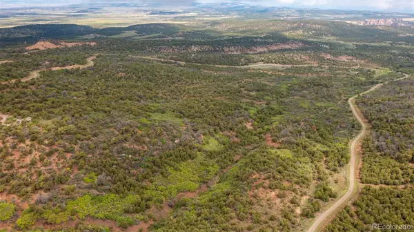 18973 Elk Reserve RD, Glade Park, CO 81523
