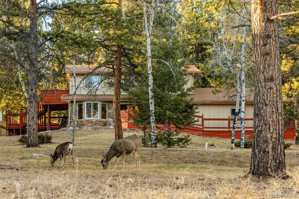 28735 Little Big Horn DR, Evergreen, CO 80439