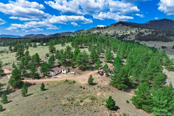 999 Antelope LN, Guffey, CO 80820