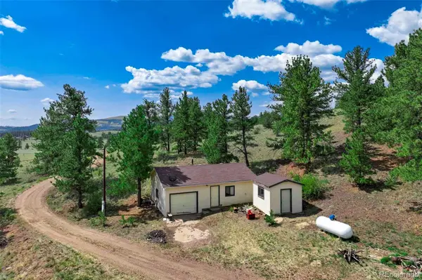 999 Antelope LN, Guffey, CO 80820