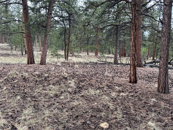 120 Harness WAY, Hartsel, CO 80449