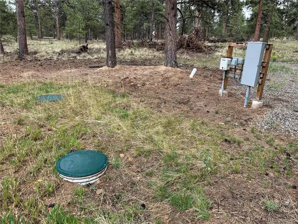 120 Harness WAY, Hartsel, CO 80449