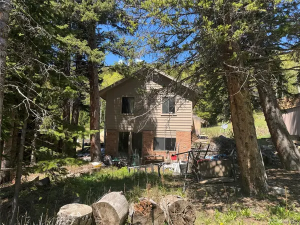 4568 Apex Valley RD, Black Hawk, CO 80422