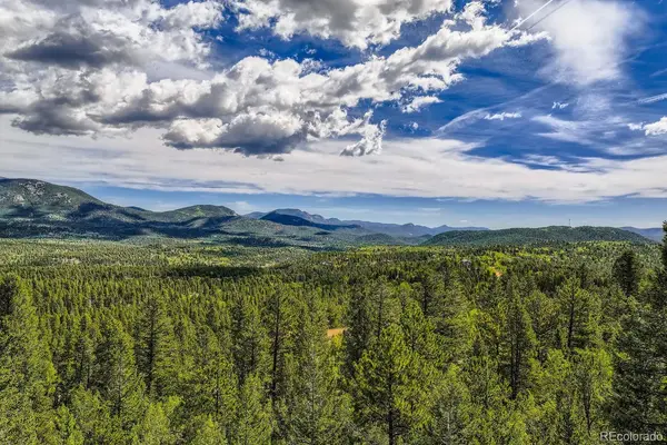 1288 Royal Ridge DR, Bailey, CO 80421