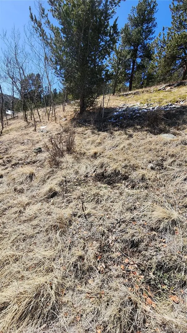 267 Ward ST, Bailey, CO 80421