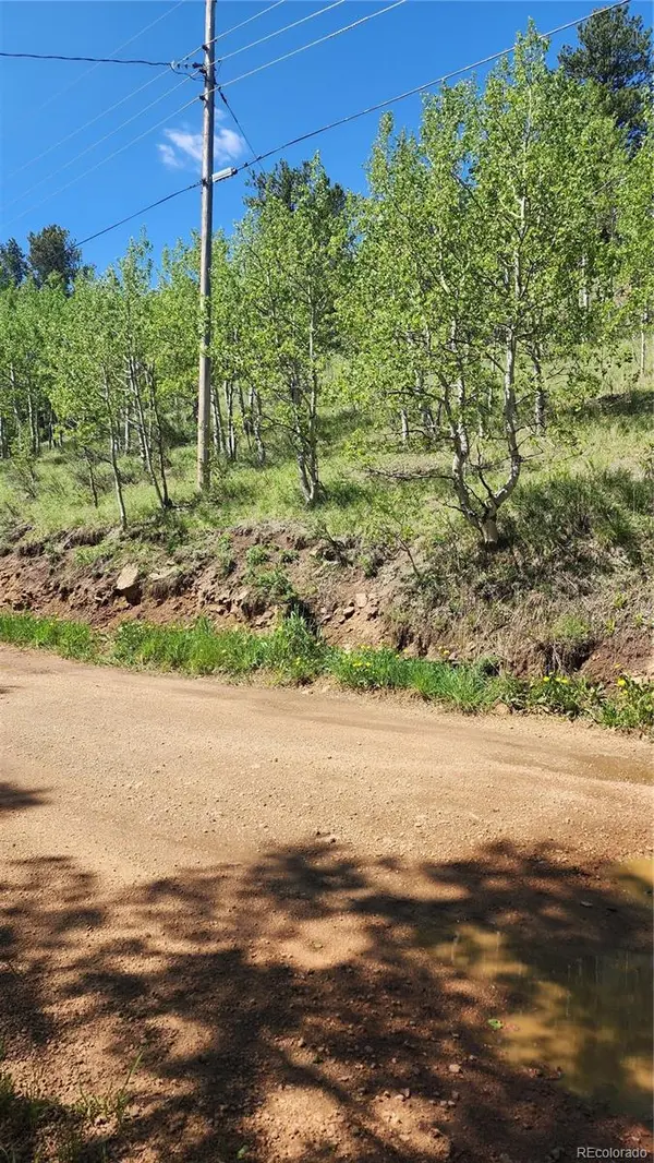 267 Ward ST, Bailey, CO 80421