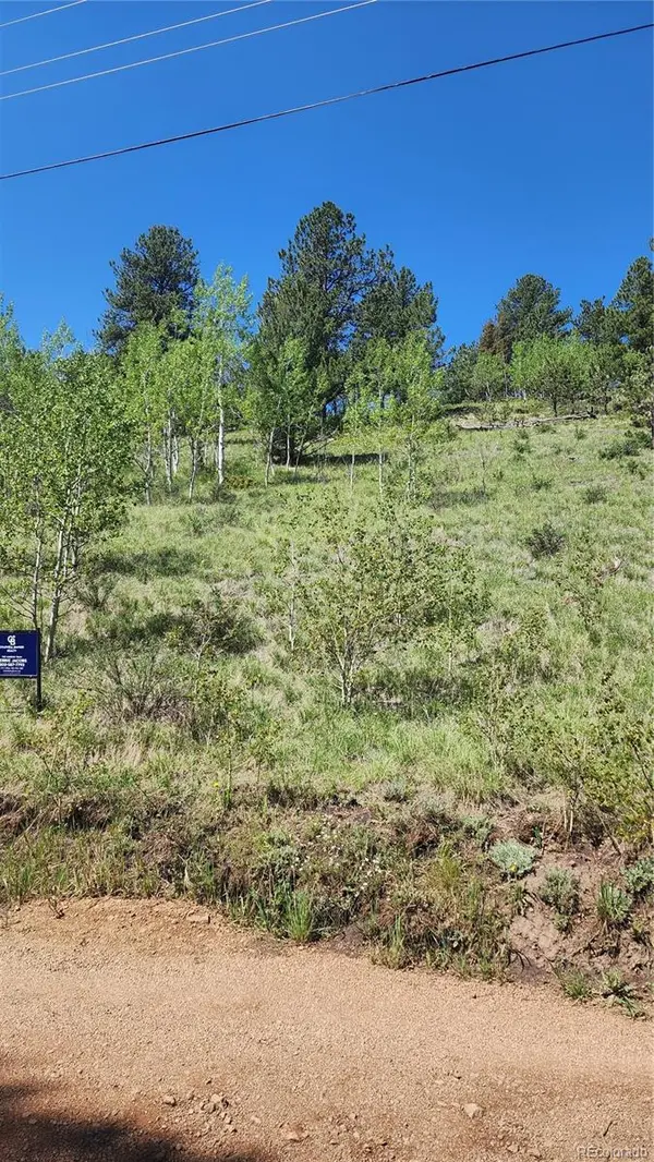 267 Ward ST,  Bailey,  CO 80421