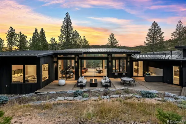 6303 Little Cub Creek RD, Evergreen, CO 80439