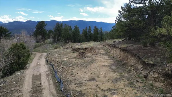 112 Mule Deer TRL, Idaho Springs, CO 80452