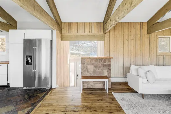 297 Deer Path RD, Dillon, CO 80435