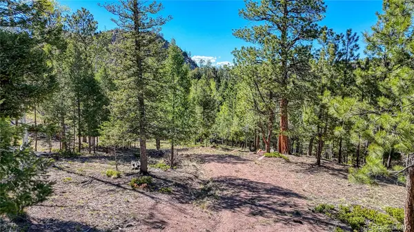 56 Fir LN, Florissant, CO 80816