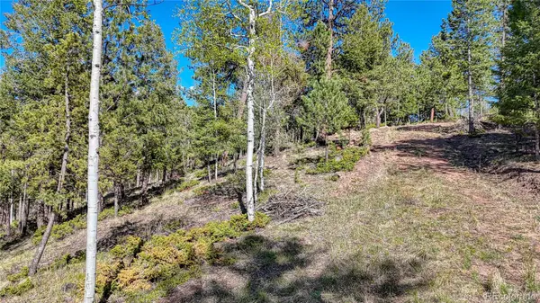 56 Fir LN, Florissant, CO 80816